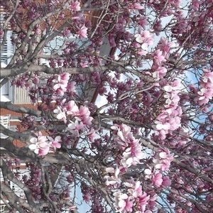 Meet your Posher, Nancy